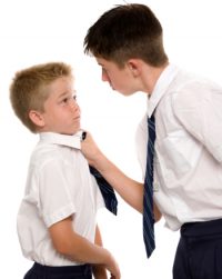 reasons-bully-peers