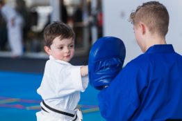 martial arts kids