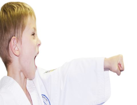 martial arts perth