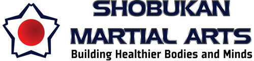 Kids Martial Arts Karate Programs in Perth