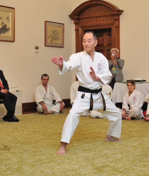 adult martial arts classes