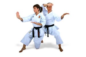 Adult martial arts training with male and female martial artists demonstrating martial arts stances